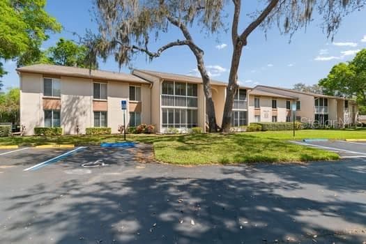 13103 Cypress Hill Drive B2 photo 05
