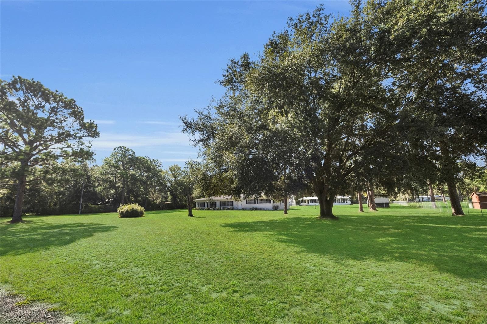 133 Moores Trail photo 04