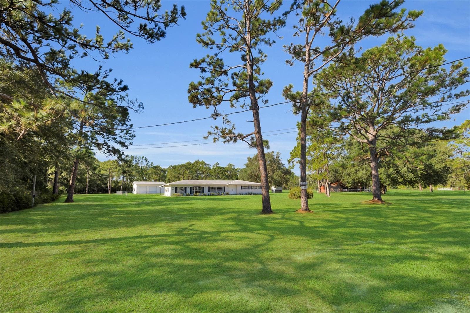133 Moores Trail photo 05