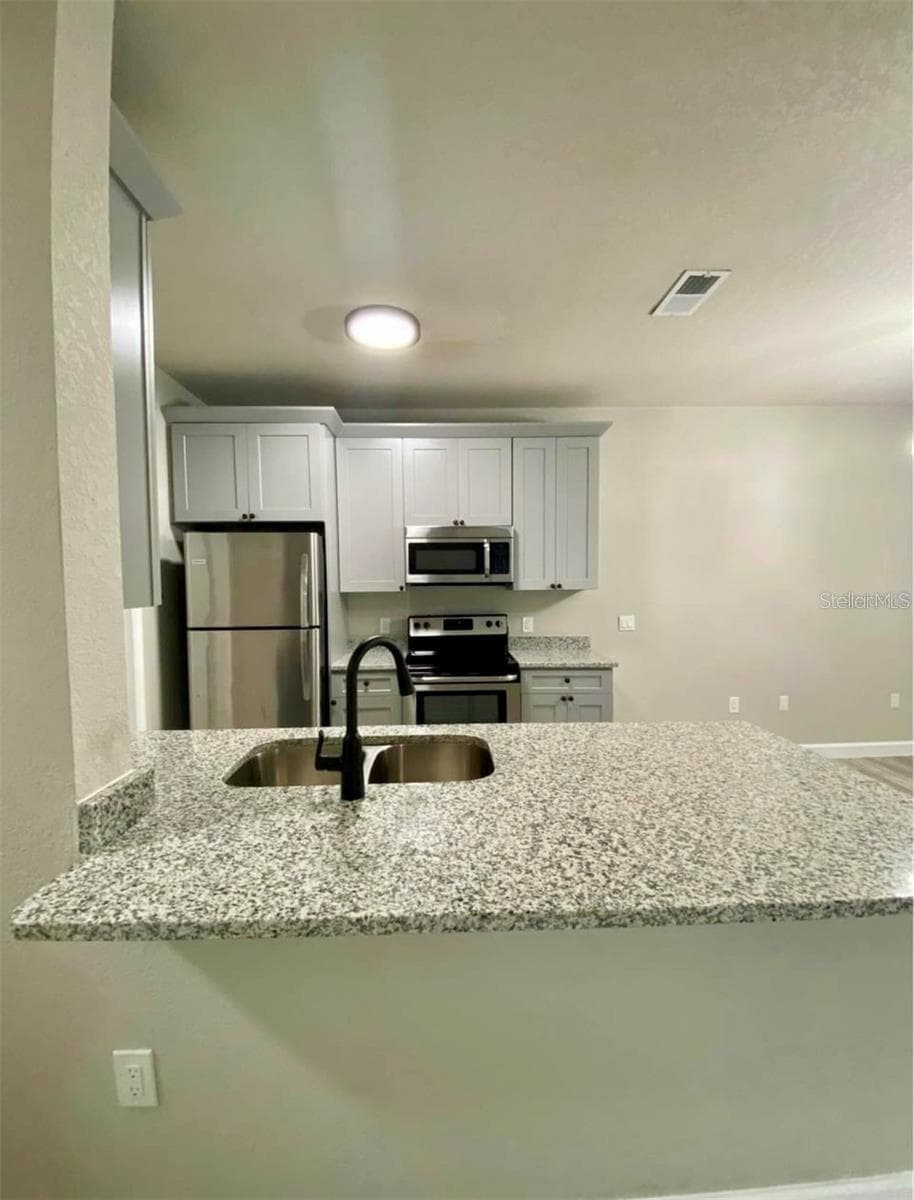 3011 Hemingway Circle 3011 photo 06