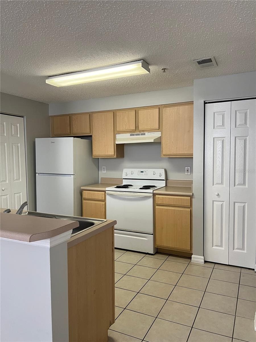 10831 Windsor Walk Drive 211 photo 03