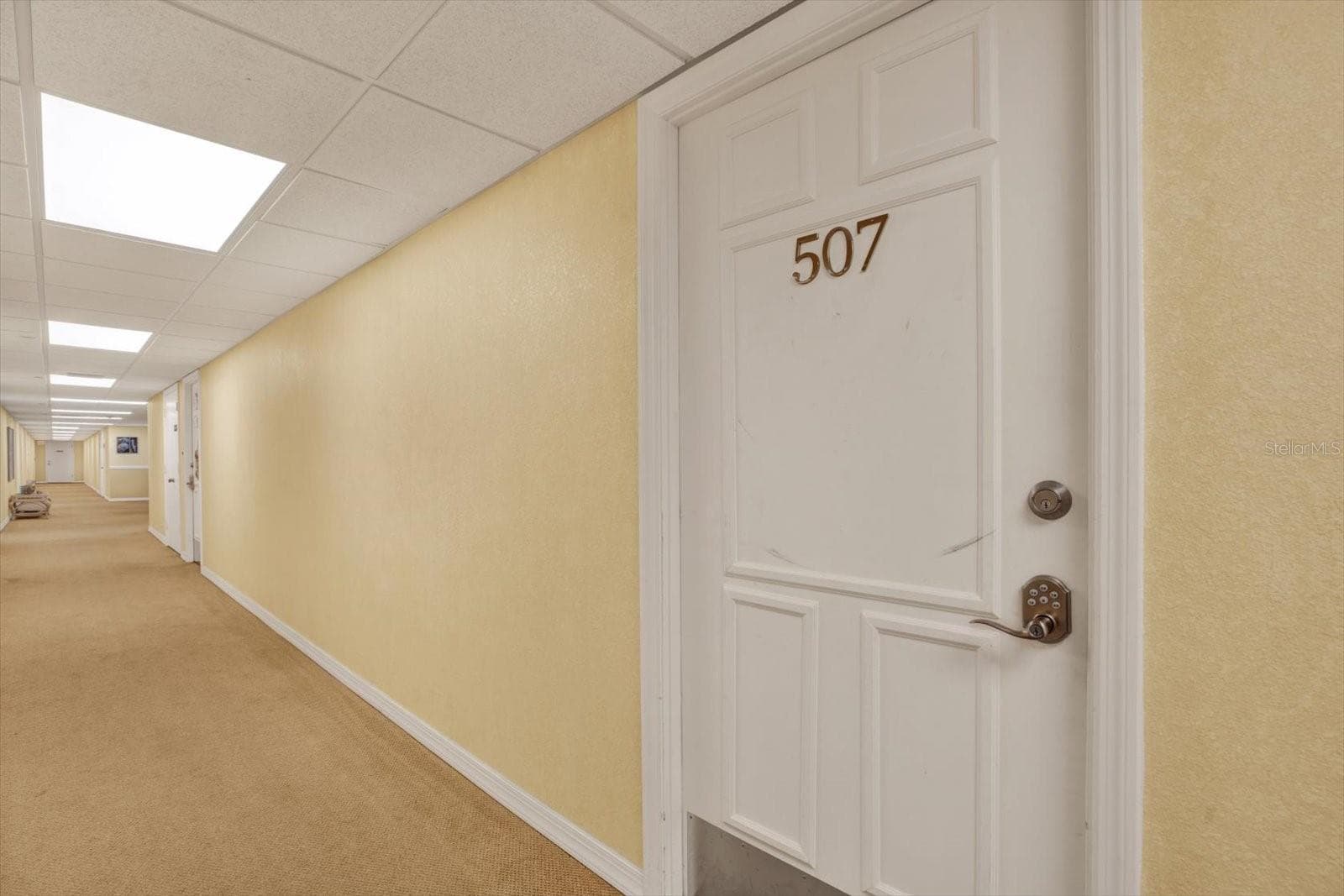420 64th Avenue 507 photo 02