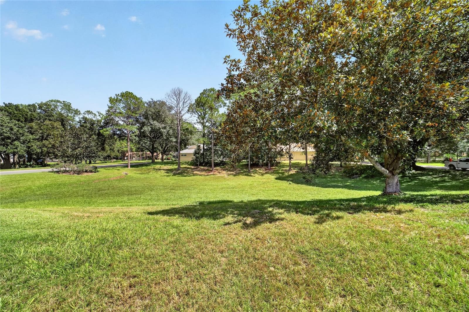 8469 SW 92nd Place D photo 05