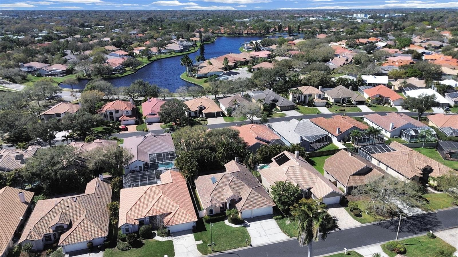 4833 Windmill Palm Terrace NE photo 02
