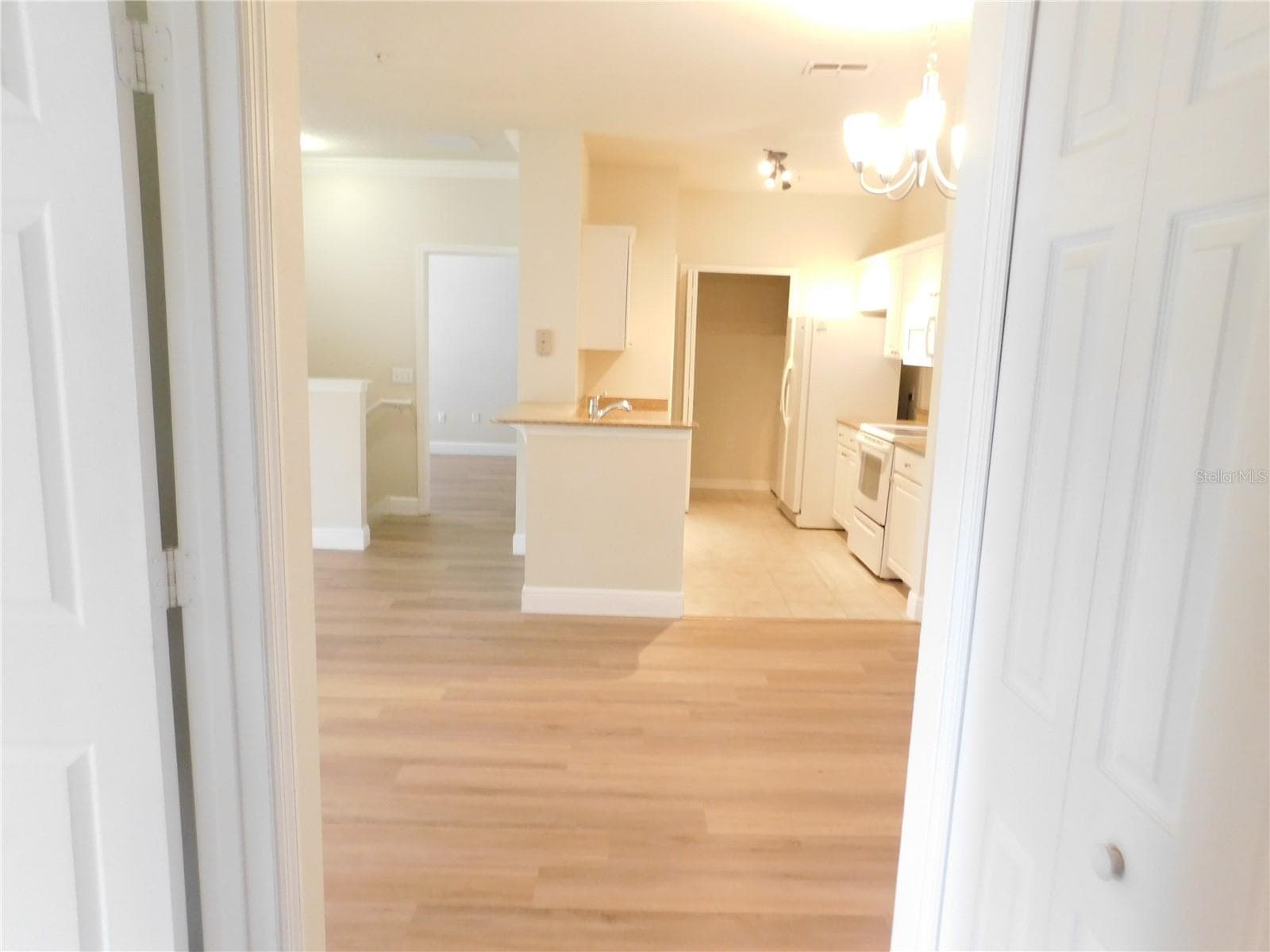 417 Southern Pecan Circle 201 photo 05