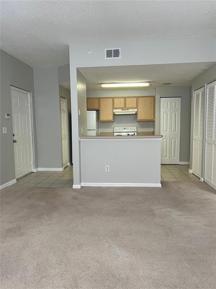 10831 Windsor Walk Drive 211 photo 06