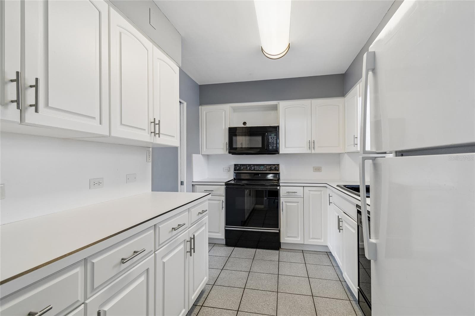 1365 N Snell Isle Boulevard NE 2E photo 05