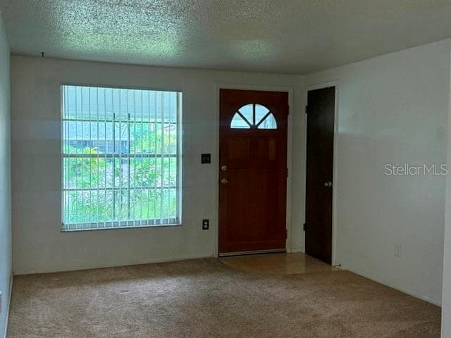 2905 Lemonwood Street photo 04
