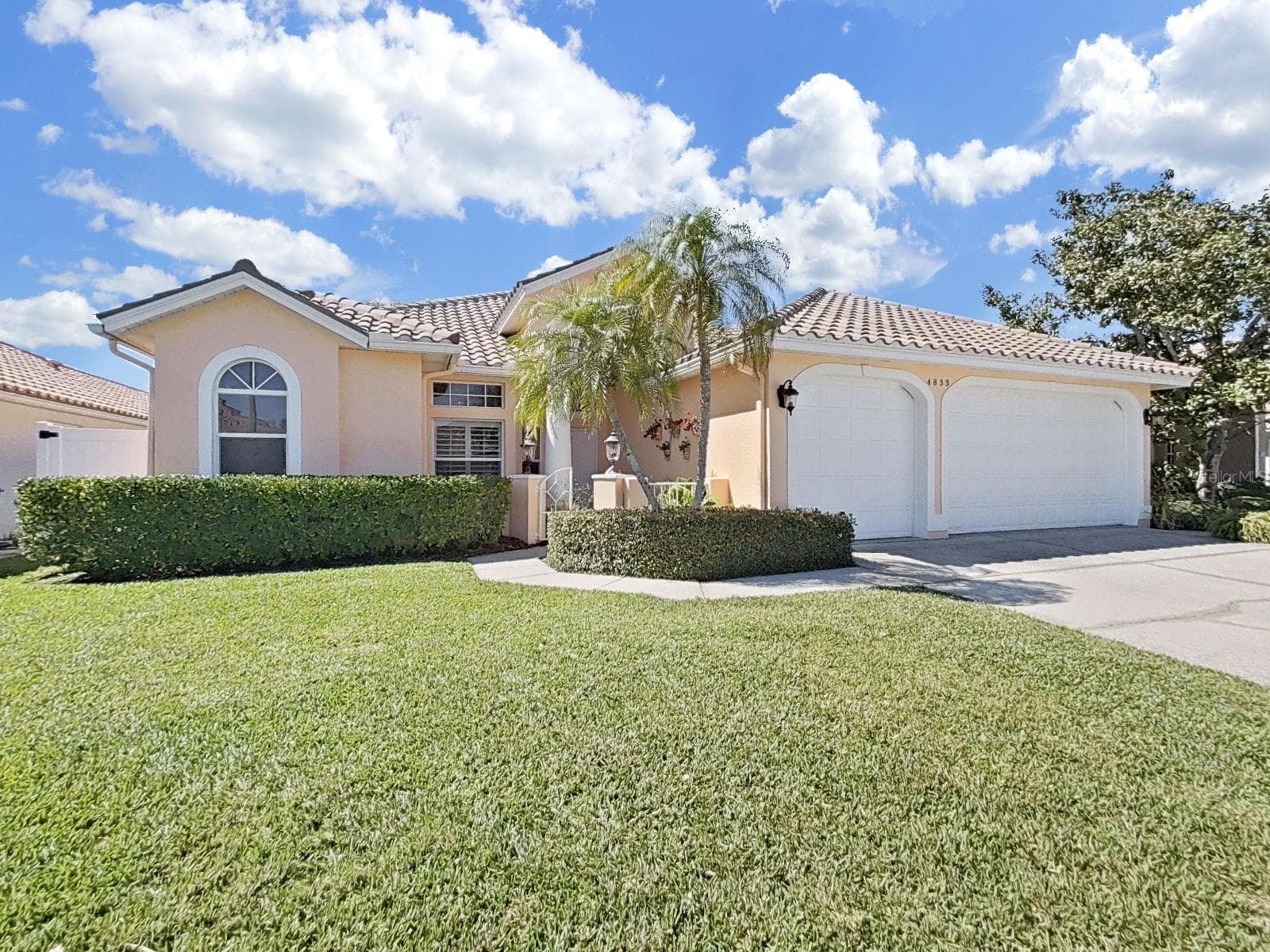 4833 Windmill Palm Terrace NE photo 04