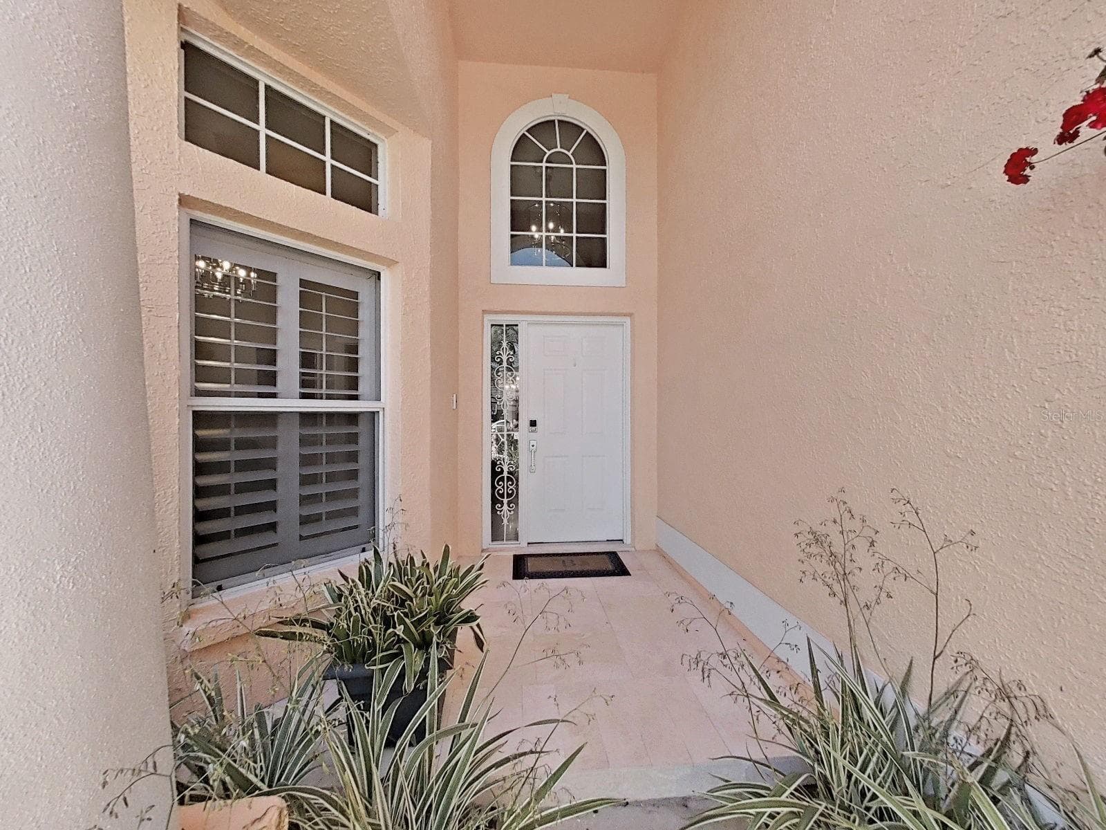 4833 Windmill Palm Terrace NE photo 06