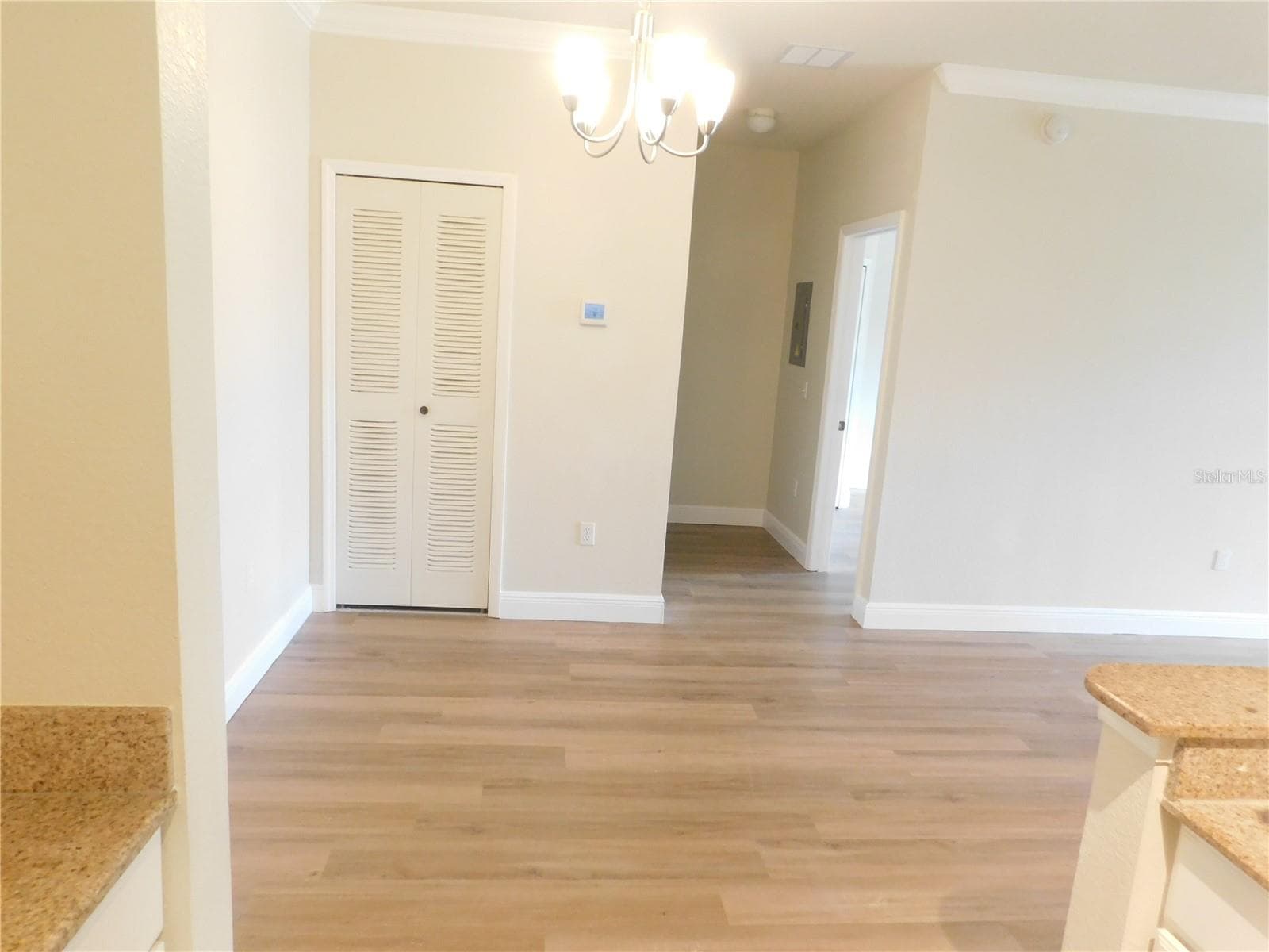 417 Southern Pecan Circle 201 photo 07