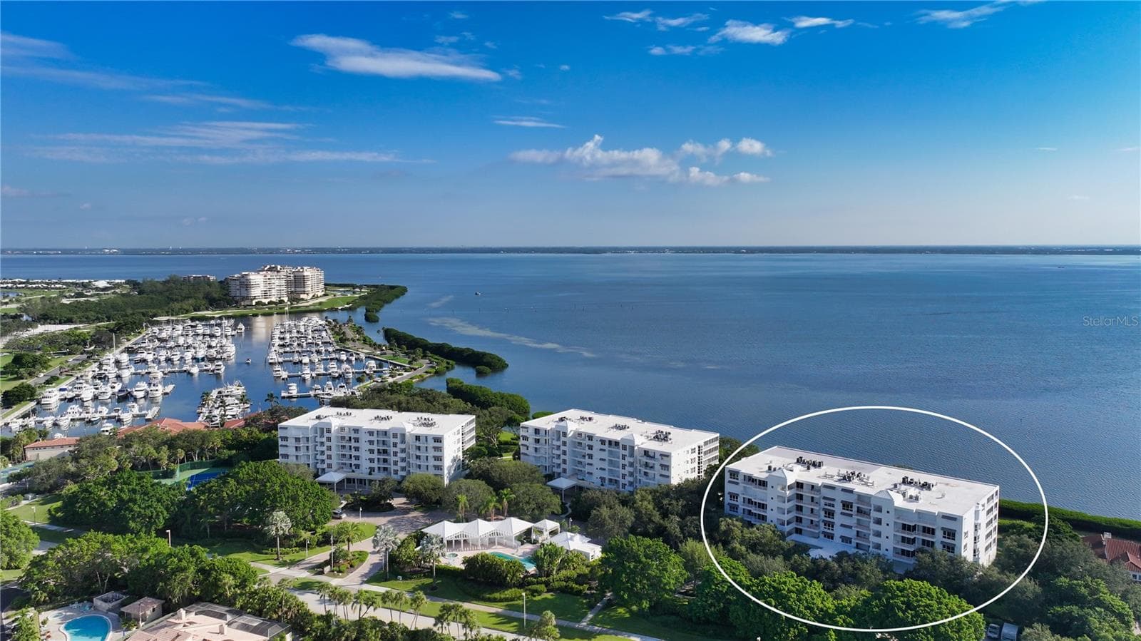 2410 Harbourside Drive 142 photo 02