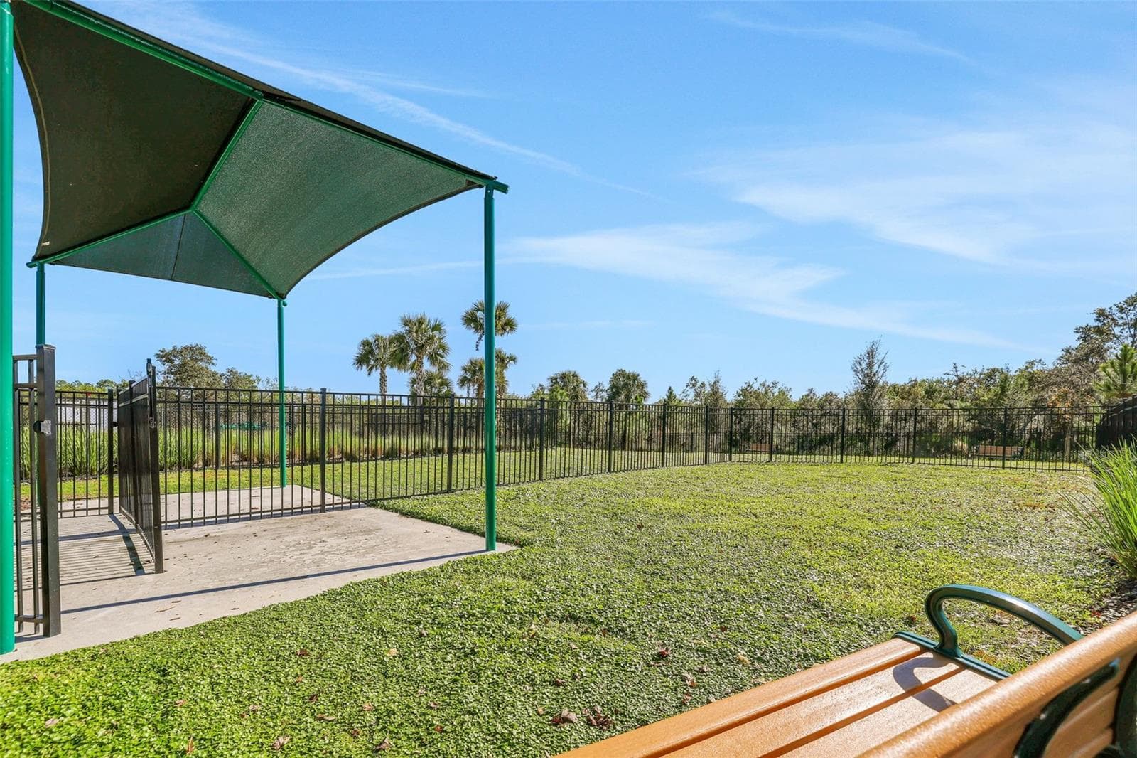 13350 Peaceful Melody Drive photo 04