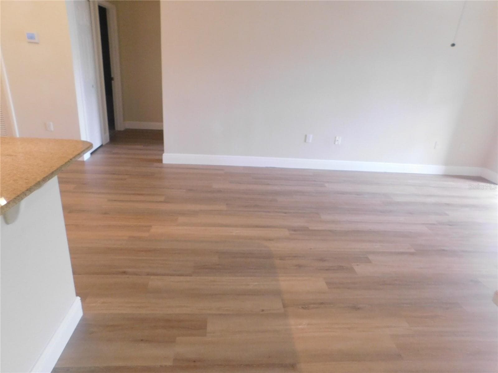 417 Southern Pecan Circle 201 photo 06