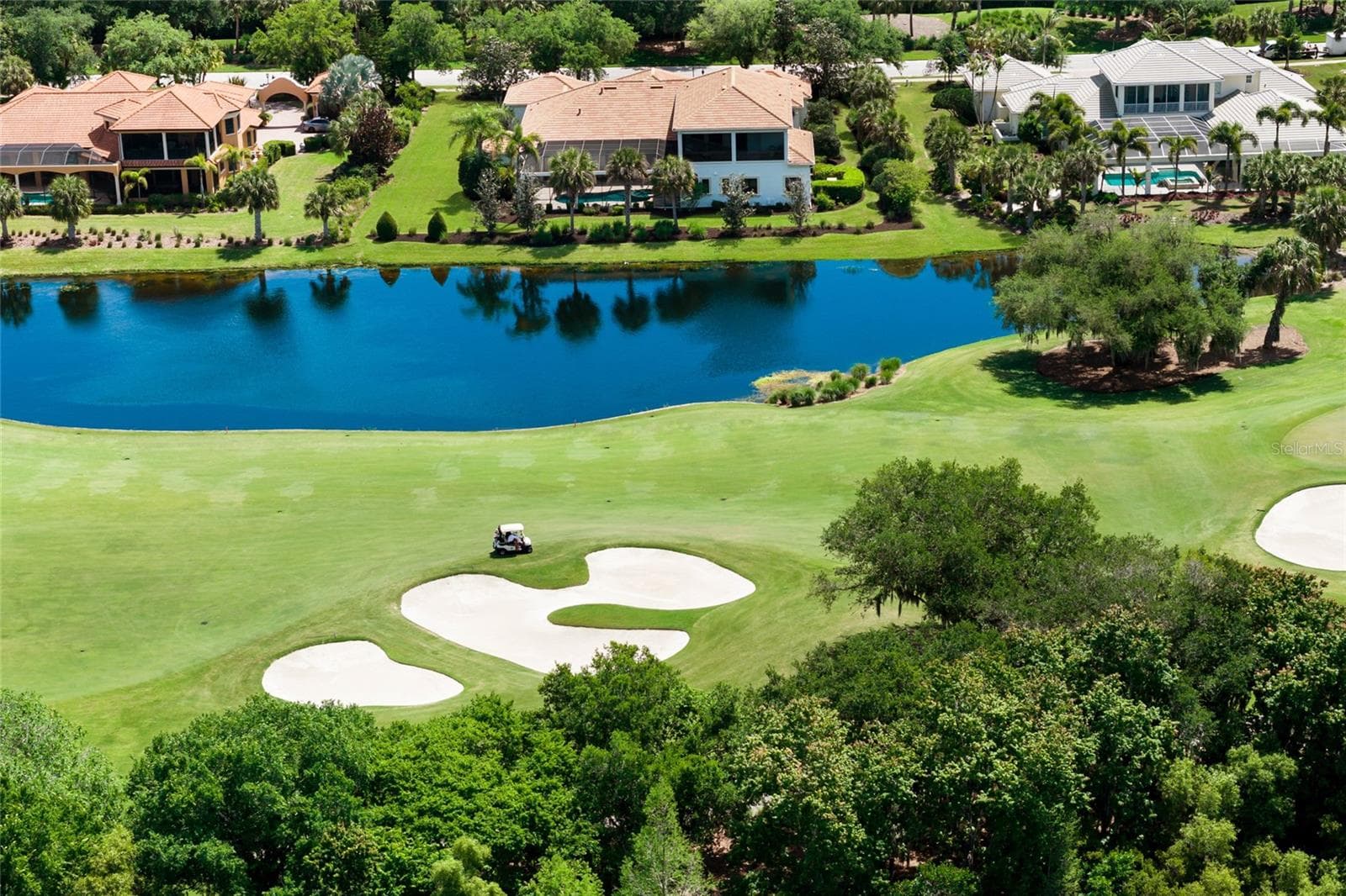 3809 Founders Club Drive photo 02