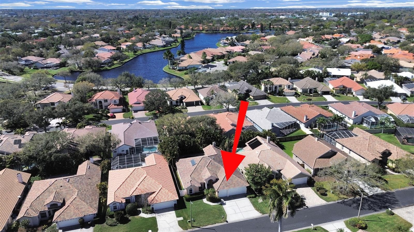 4833 Windmill Palm Terrace NE photo 03