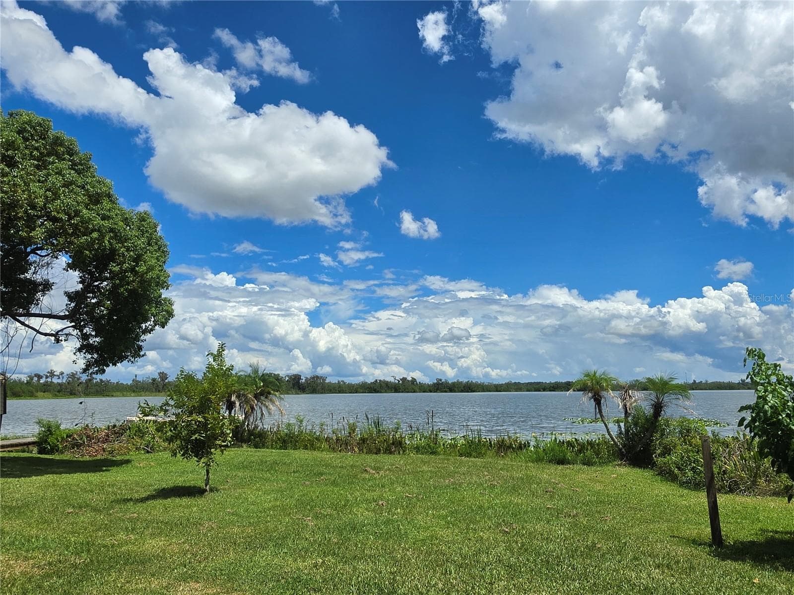 4414 Bonnet Lake Drive photo 03