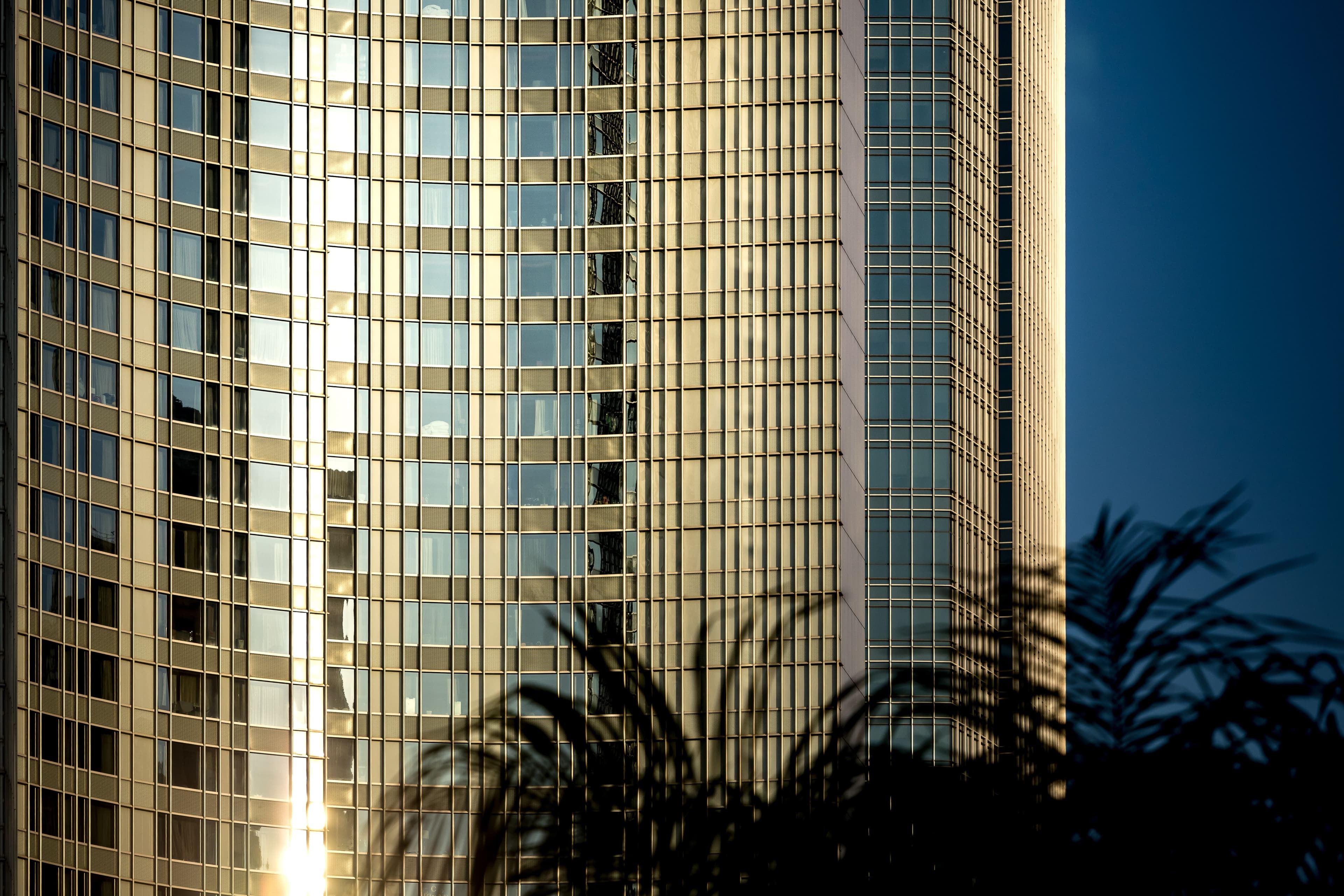 Florida Condo Milestone Inspection: St. Pete Buyer Guide